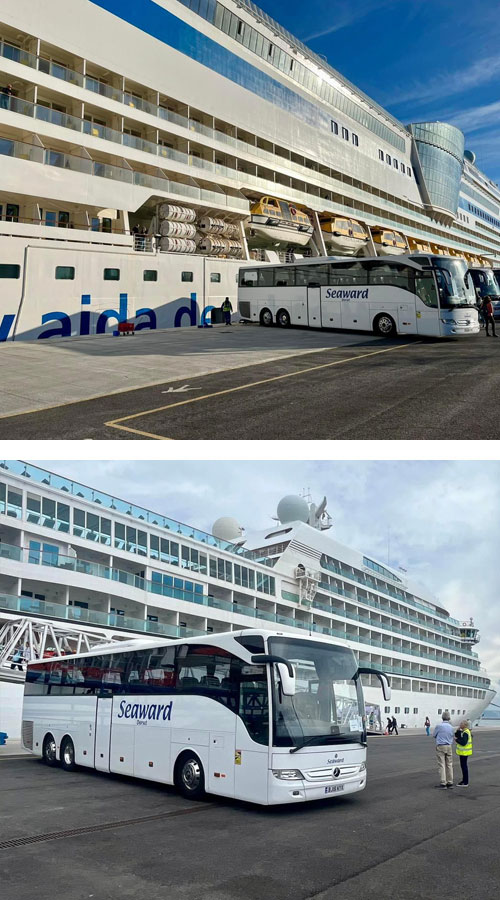 cruise ships transfers